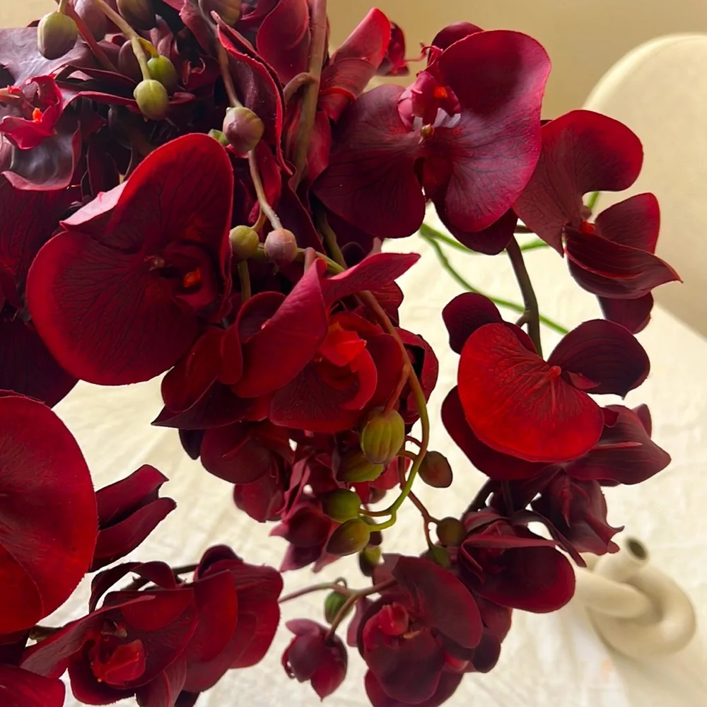 Zgallerie orchids (2 sets of 3)